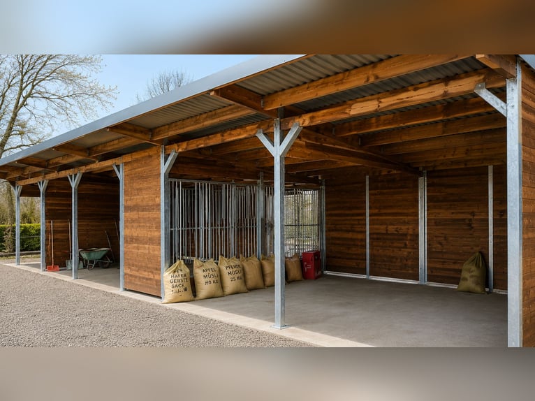 Caseta de pasto y box de paddock, refugio para caballos | Refugio para pasto ideal para sus caballos