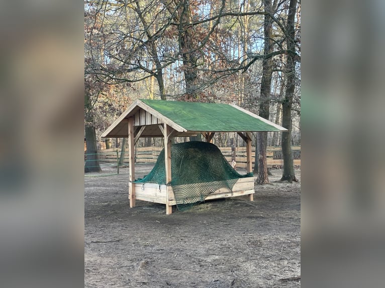 Comedero para heno en venta