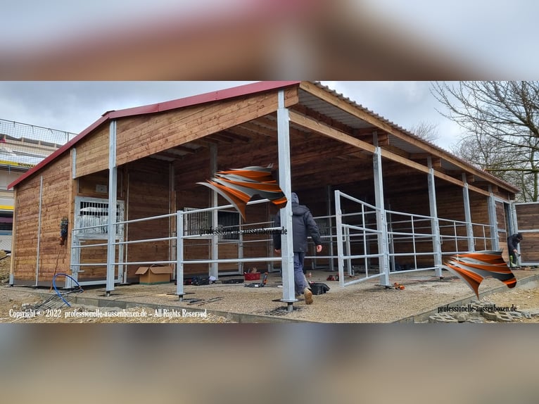 Construcción de establos para caballos: establo exterior y box, compra de paddock, refugios para pas