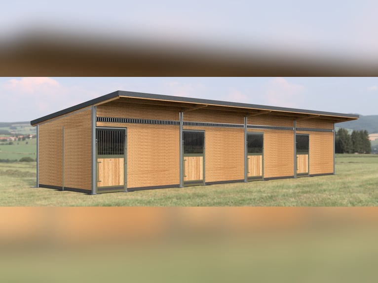 Construcción de establos y boxes para caballos | Pabellones exteriores y boxes para caballos – Pabel