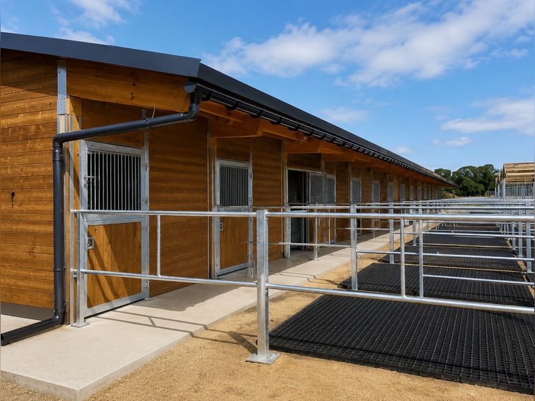 Construcción de establos y caballerizas para caballos | Pabellón exterior y boxes para caballos