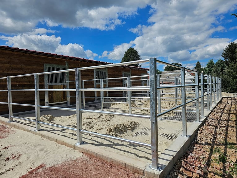 Construcción de establos y caballerizas para caballos | Pabellón exterior y boxes para caballos