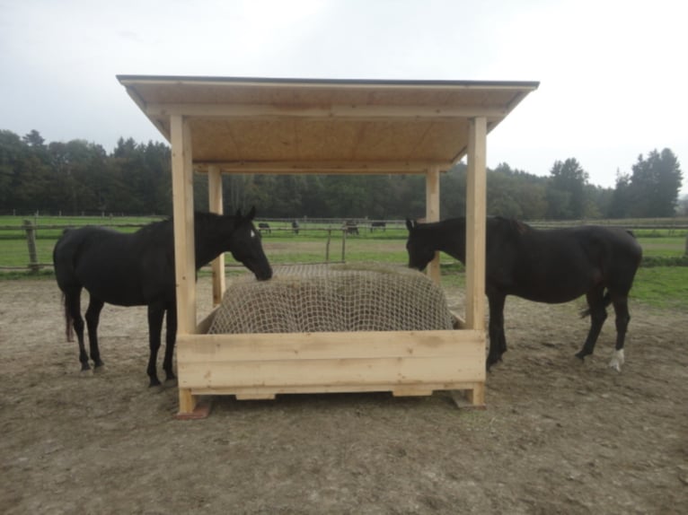 Cortacésped para pacas cuadradas y redondas