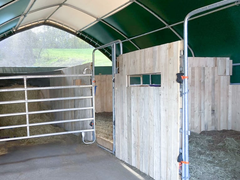 Lona de acción con 900 g/m² - Carpa para pasto, refugio para caballos, tienda de almacenamiento, tie