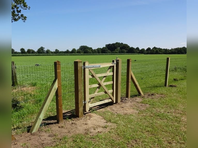 Puerta de cierre para jardín | Portón de finca | Cerca de jardín con puerta