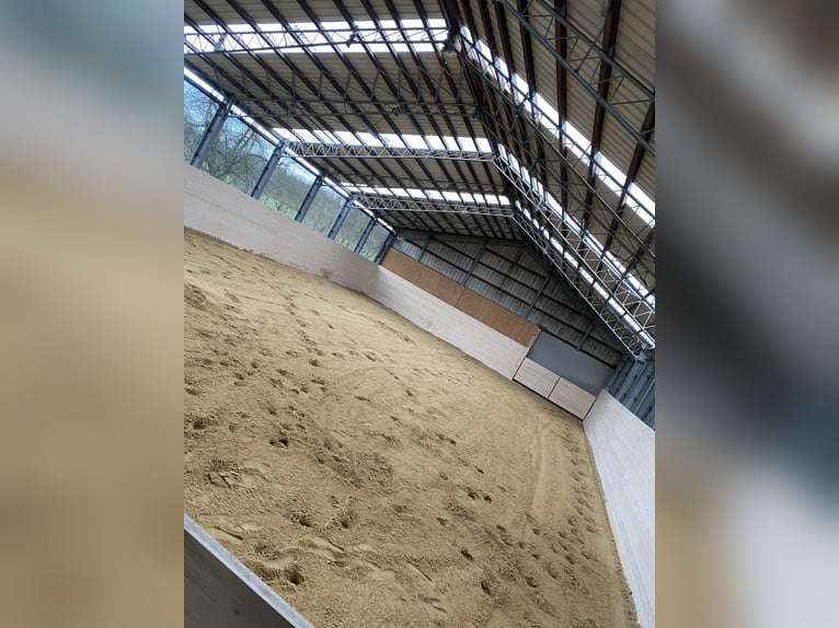 Arena de arena de cuarzo