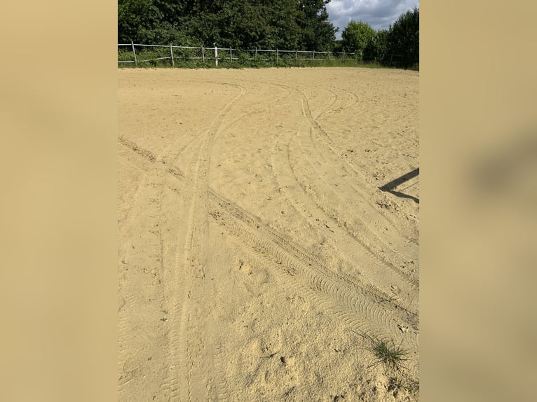 Arena de arena para equitación Kirchhellen