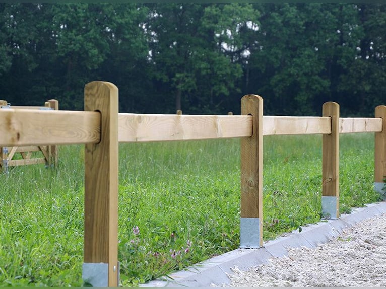 Pista de doma | Valla de madera para pista de equitación | Cuadrilátero de doma
