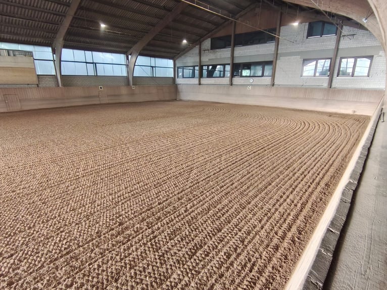 Suelo para equitación y pista cubierta