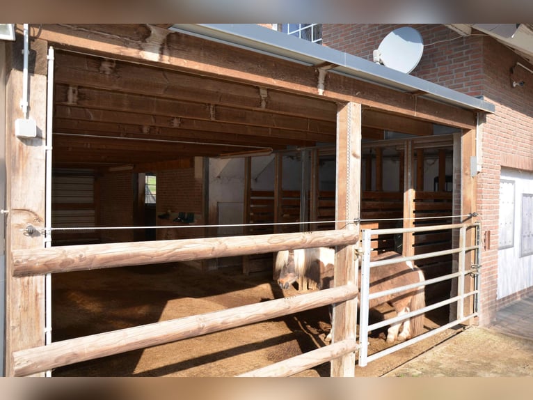 Exklusive kleinere Reitanlage mit hochwertigem Wohnhaus