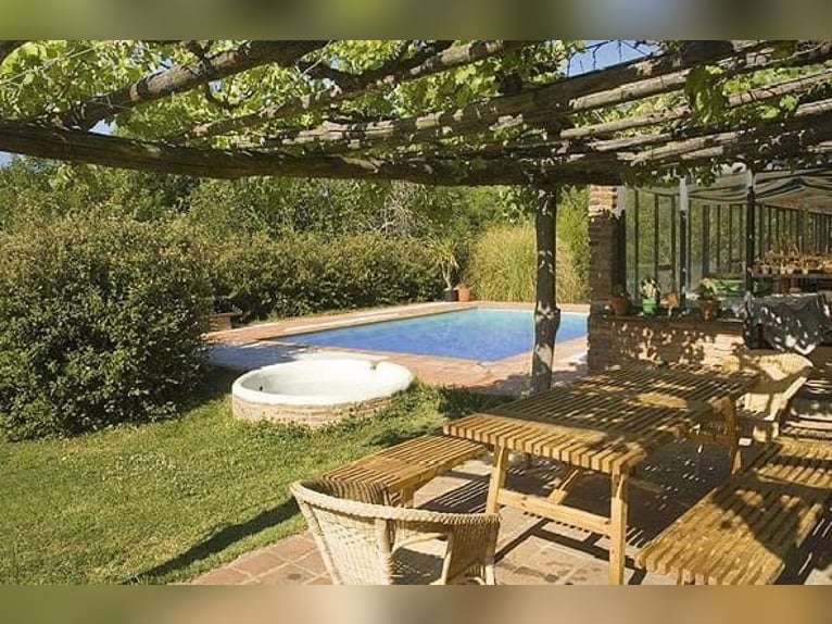 VERY NICE PROPERTY IN THE SOUTH OF SPAIN. NEAR SEVILLA .