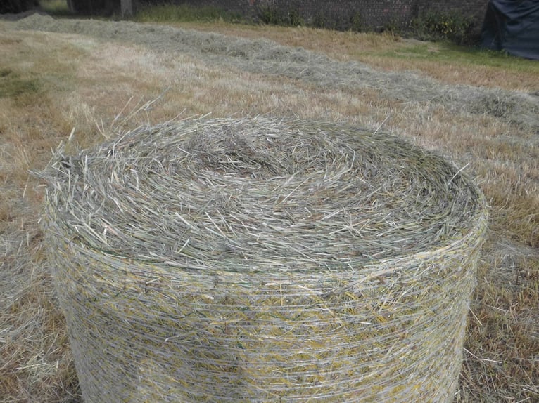 Bioheu Pferdeheu Rundballen Heu Wiesenheu Transport möglich