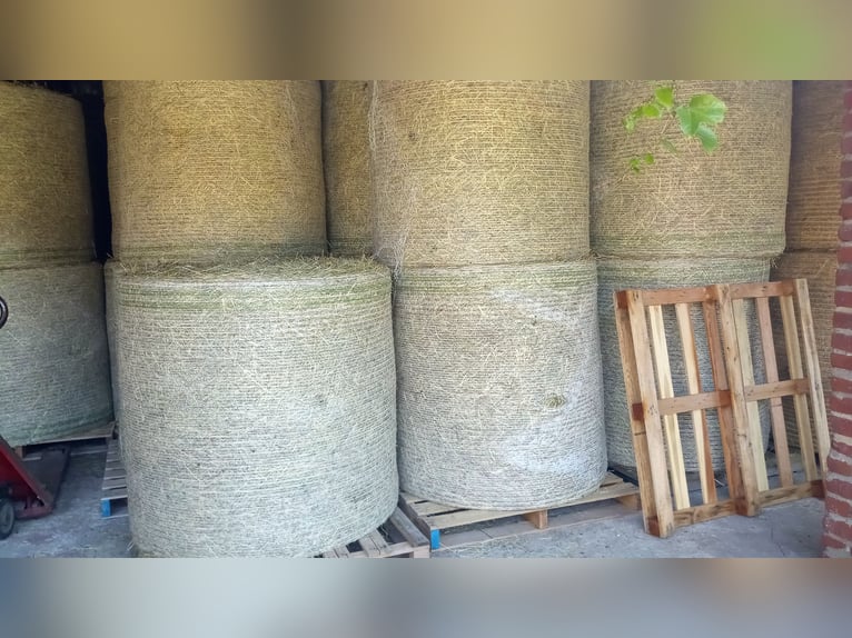 Forage hay organic hay hay bales meadow hay round bales