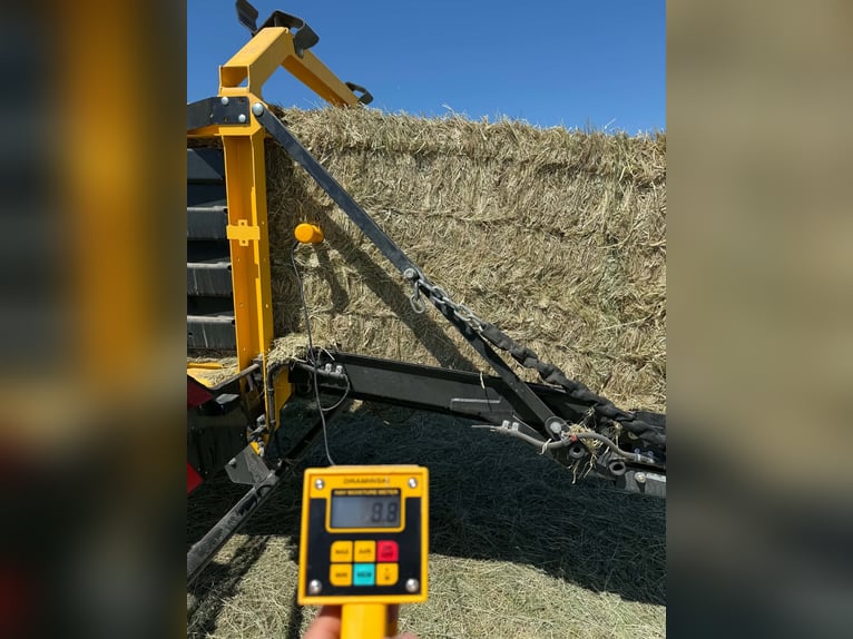 Forraje de pasto para caballos