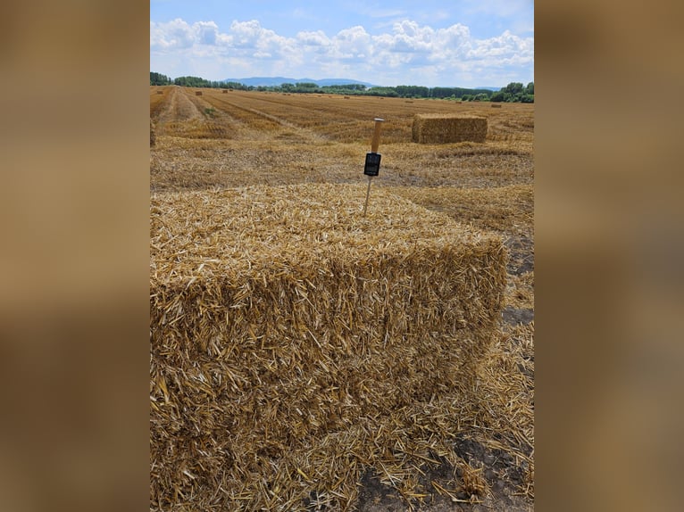 Heu, Stroh, Siloballen, Luzerne inkl. Lieferung
