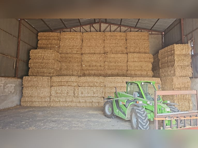 Heu, Stroh, Siloballen, Luzerne inkl. Lieferung