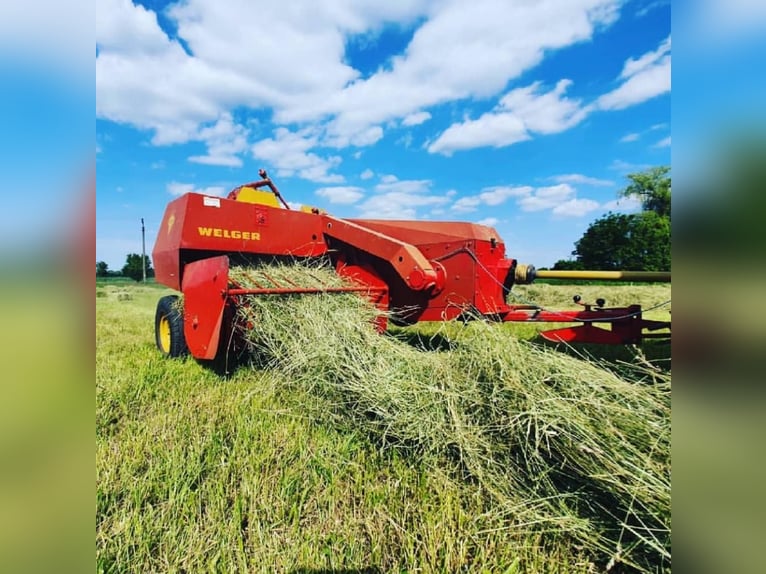 Heu, Stroh, Siloballen, Luzerne inkl. Lieferung