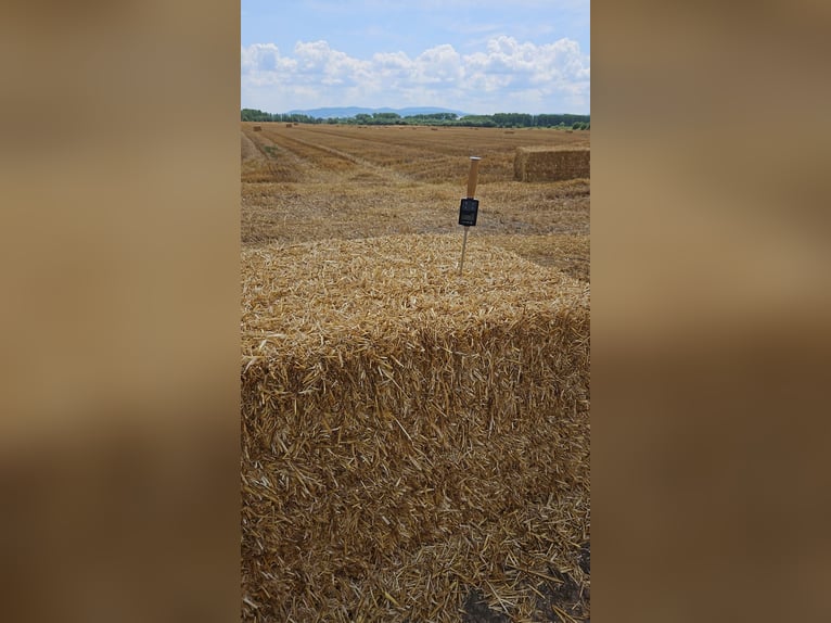 Heu, Stroh, Siloballen, Luzerne inkl. Lieferung