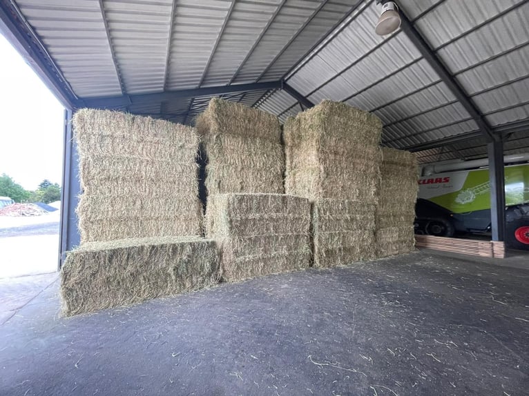 Heu, Stroh, Siloballen, Luzerne inkl. Lieferung