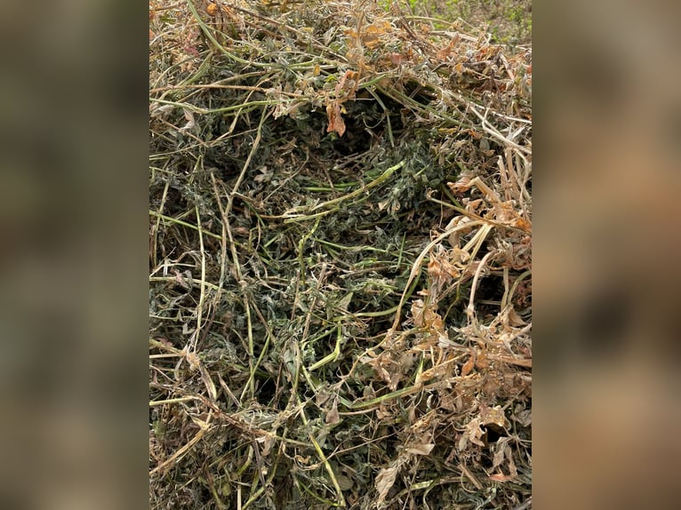 Heu, Stroh, Siloballen, Luzerne inkl. Lieferung