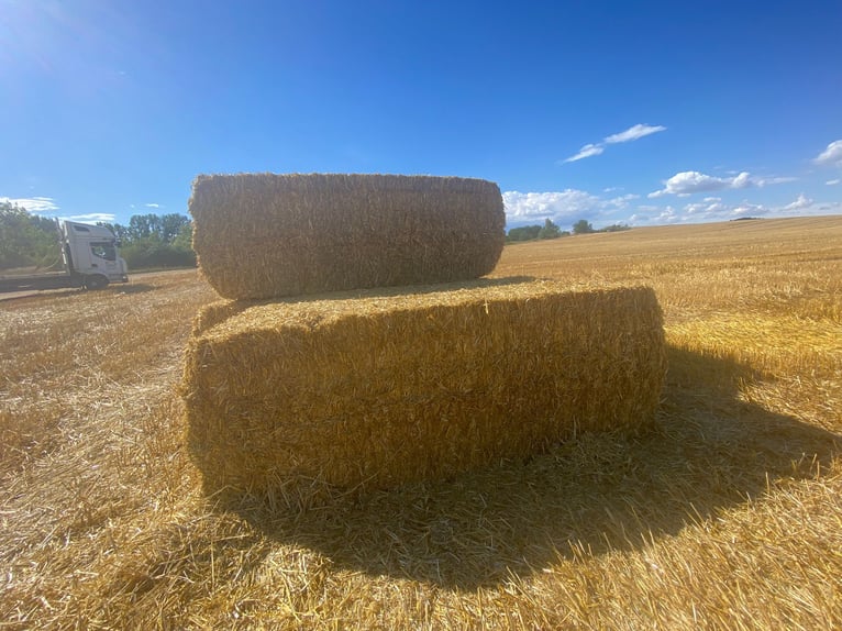 Heu, Stroh, Siloballen, Luzerne inkl. Lieferung