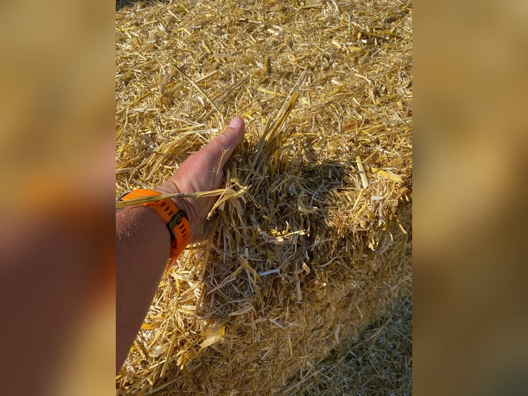 Heu, Stroh, Siloballen, Luzerne inkl. Lieferung