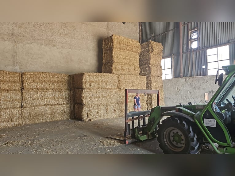 Heu, Stroh, Siloballen, Luzerne inkl. Lieferung