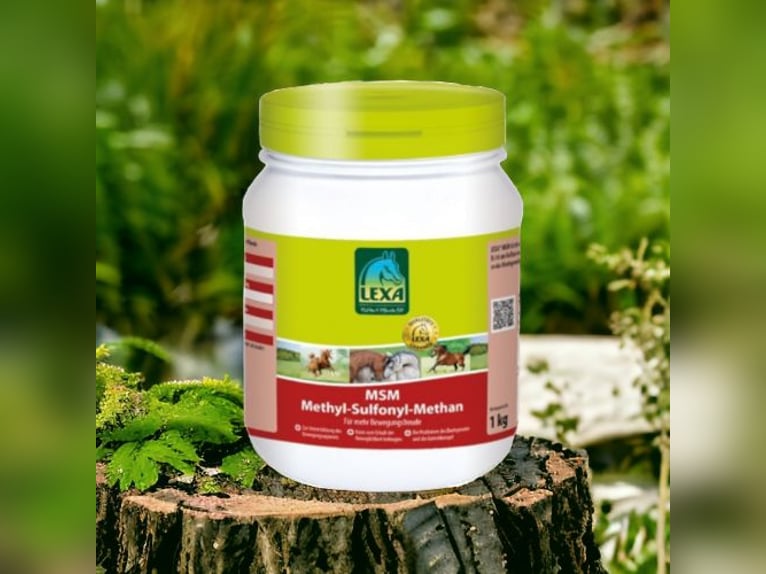 MSM (Methyl Sulfonyl Methan) 1kg UVP 20,80€