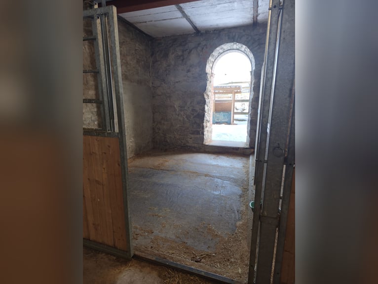 Box available – excellent hacking terrain and numerous training opportunities