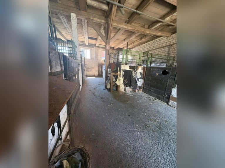 Box available with up to 9 hours of turnout during the day.