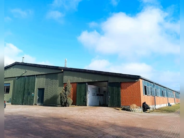 Box o lugar de monta disponible