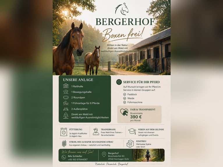 Boxe de pensionamiento disponibles para caballos y ponis – Bergerhof Dormagen Gohr-Broich – caballos