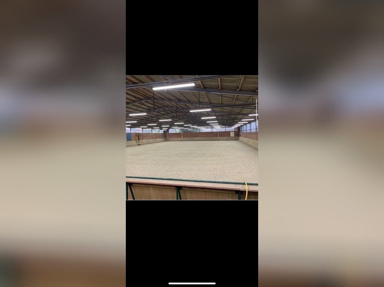 Boxen auf Reitanlage in Mönchengladbach 
