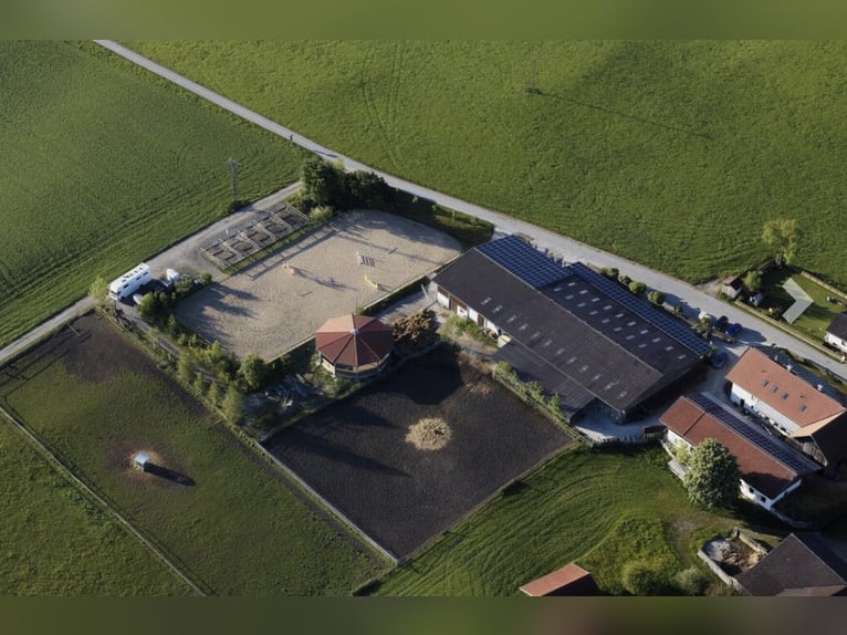 Boxen zur Pensionshaltung frei, südlich von München, Pferdeboxen, Reitstall