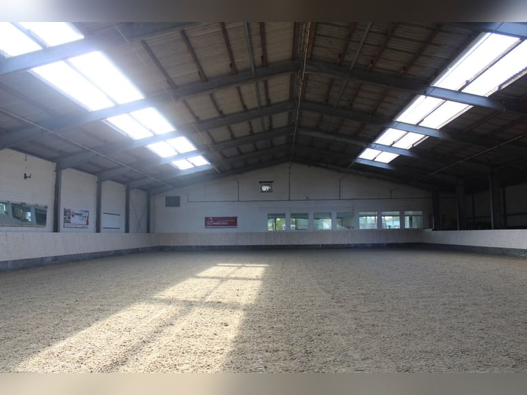 Boxes / Paddock boxes available