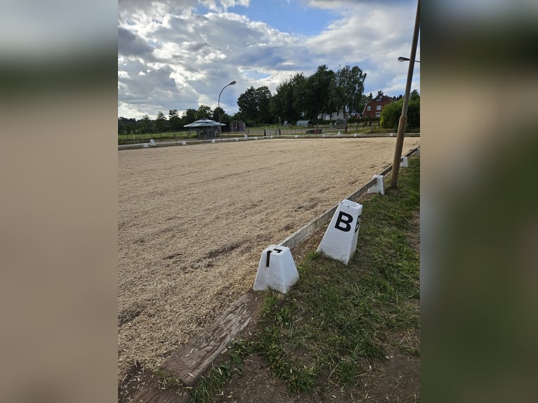 gr.Boxen sowie Stalltrakt frei