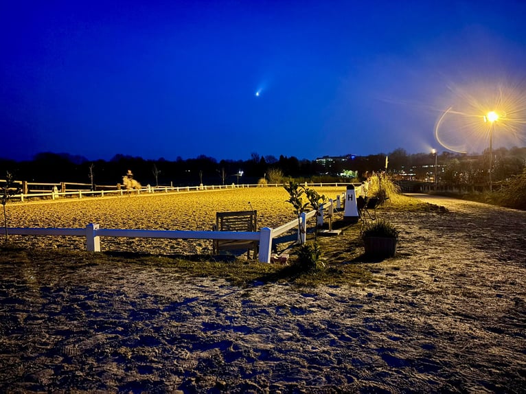 HABITACIONES DISPONIBLES – ESTABLO TRANQUILO Y VERDE CON PADDOCKS 🌿 La primavera trae novedades 🍃