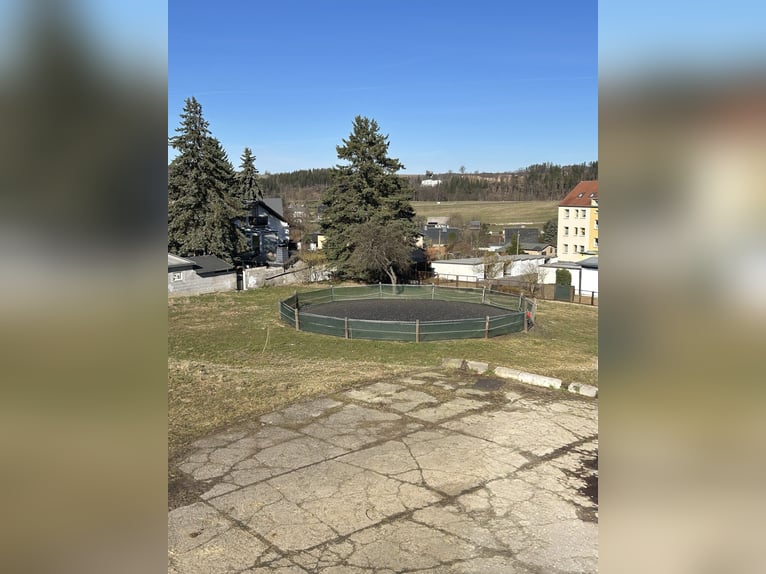 Plazas de pensión limitadas disponibles en nuestra pequeña y familiar granja de cría.