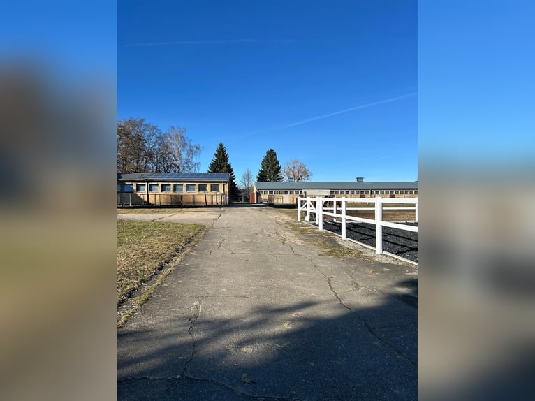 Plazas de pensión limitadas disponibles en nuestra pequeña y familiar granja de cría.