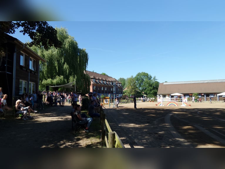 Reitanlage in Alt Zeschdorf (MOL) zu verpachten