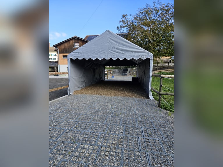 XXL Boxe in 9517 Mettlen