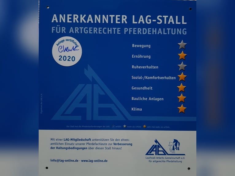 Aufzuchtsplatz für Stutfohlen 