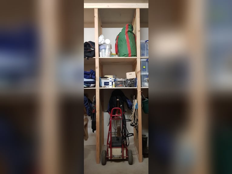 1 Offenstallplatz in Künzell ab April frei I Reithalle vorhanden