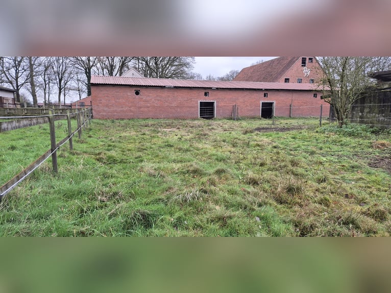 2-3 Plätze in einem Offenstall auf Selbstversorgerbasis zu vergeben