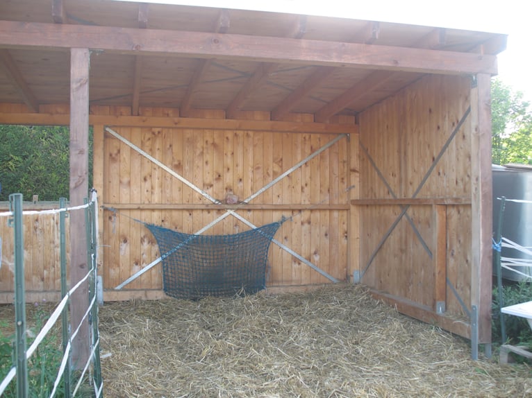 Espacio disponible en paddock libre, posibilidad de comunidad de propietarios.