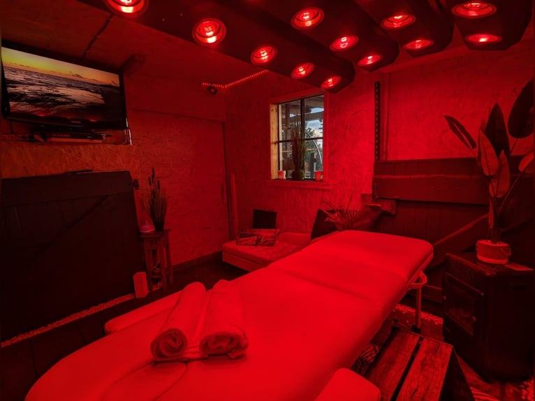 Espacio disponible para establador – Paddock abierto – Buscamos establador – Por caballo