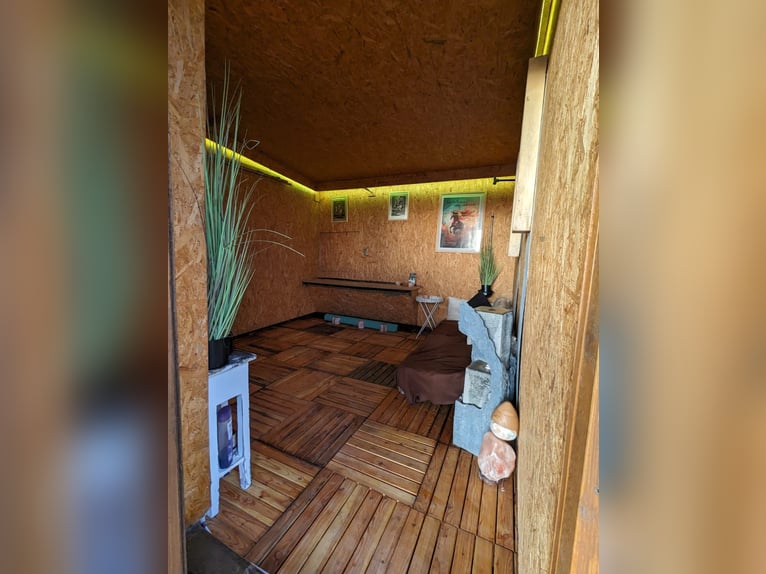 Espacio disponible para establador – Paddock abierto – Buscamos establador – Por caballo