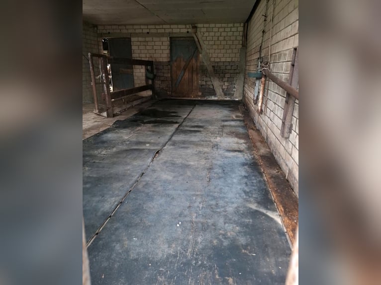 Establo abierto para 2 caballos en alquiler en Nordkirchen 59394