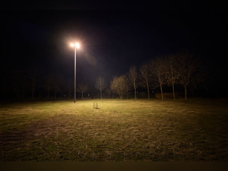 Establo de pensión idílico / Paddock libre disponible