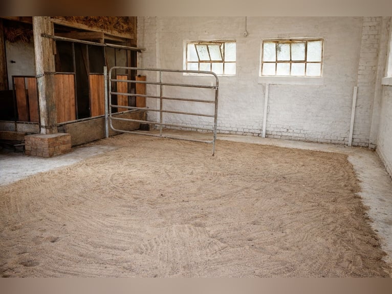 Establo de pensión idílico / Paddock libre disponible